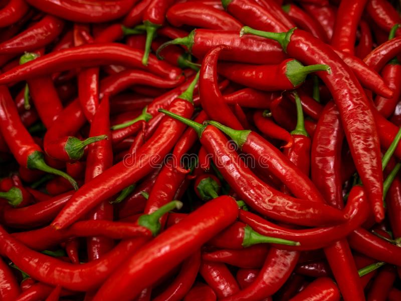 ky开元集团官网入口