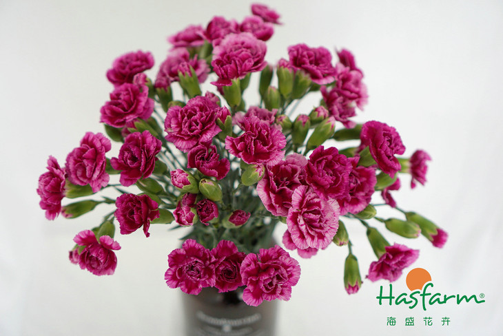 KY开元集团官网